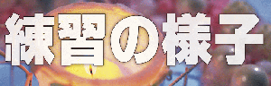 K̗lq 